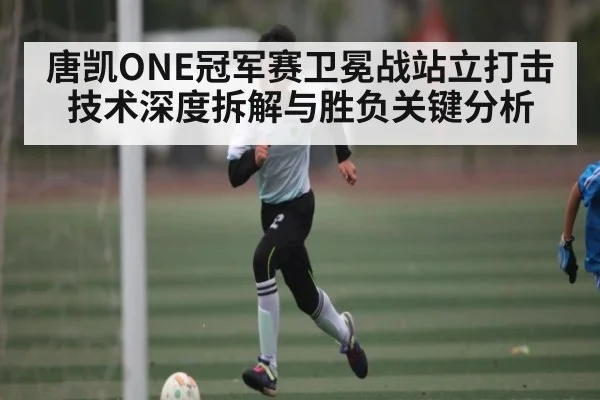 唐凯ONE冠军赛卫冕战站立打击技术深度拆解与胜负关键分析（kaiyun）
